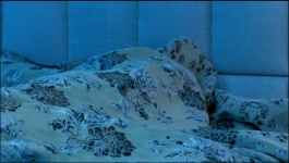 Parineeti - 11th Aug 2022